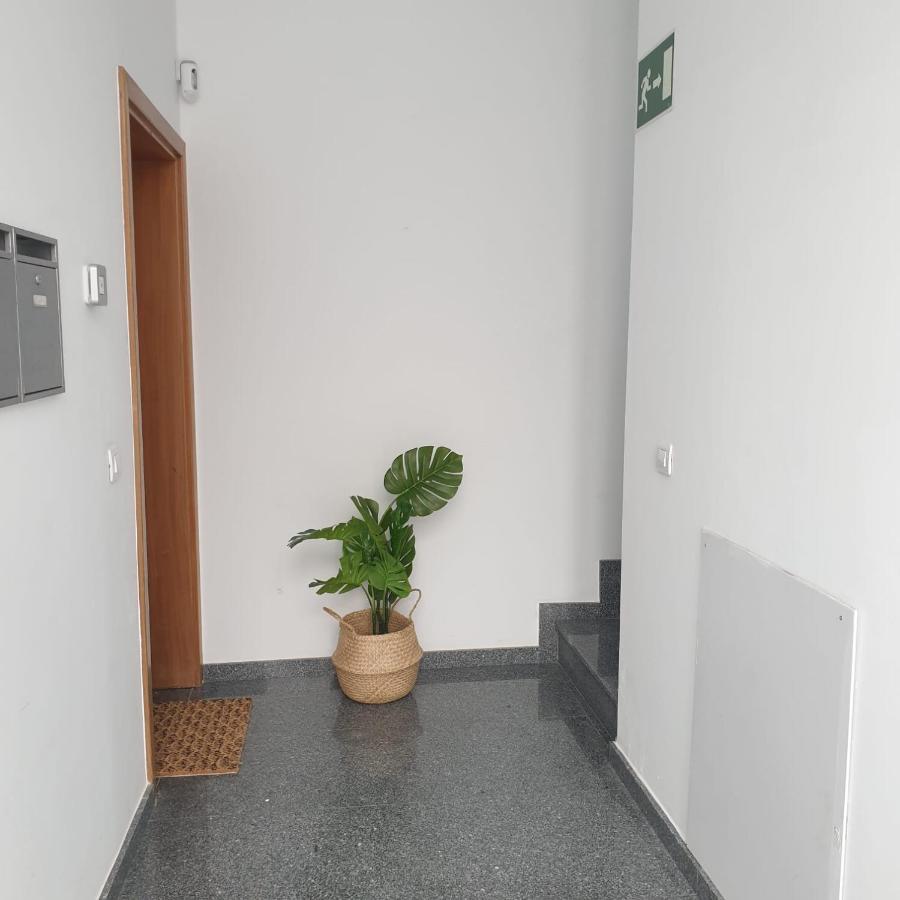 City Suite Las Palmas de Gran Canaria Luaran gambar